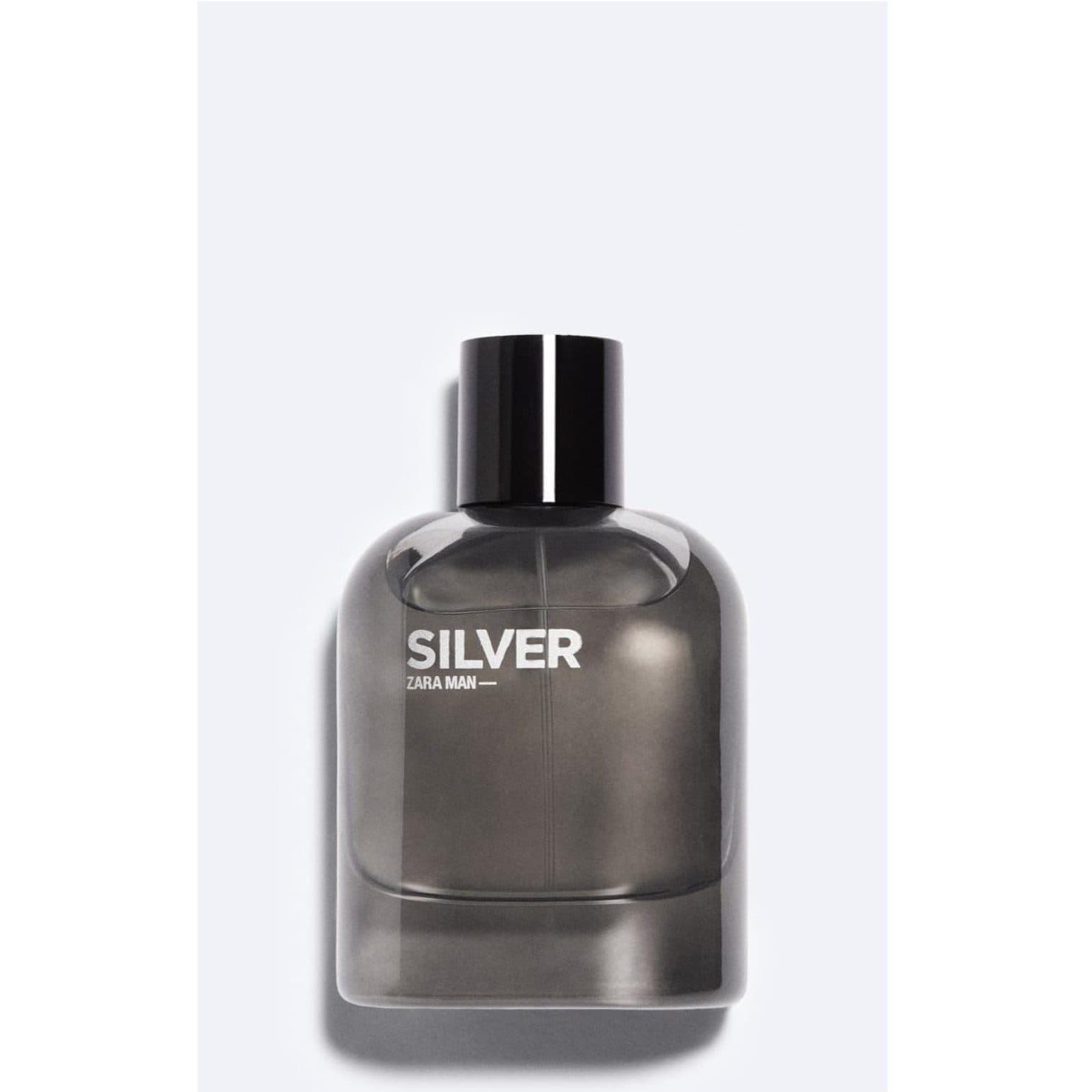 Zara Man Silver