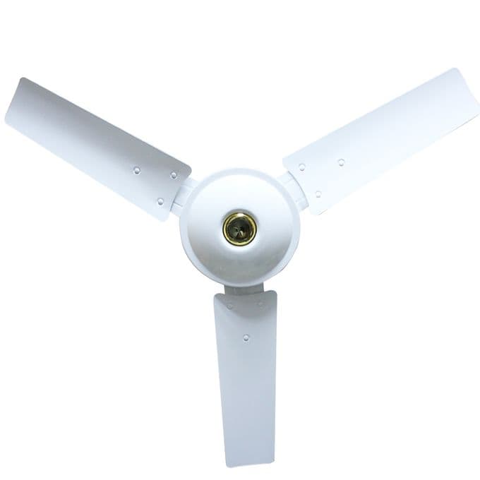 Delron 36 inches Blade Ceiling Fan